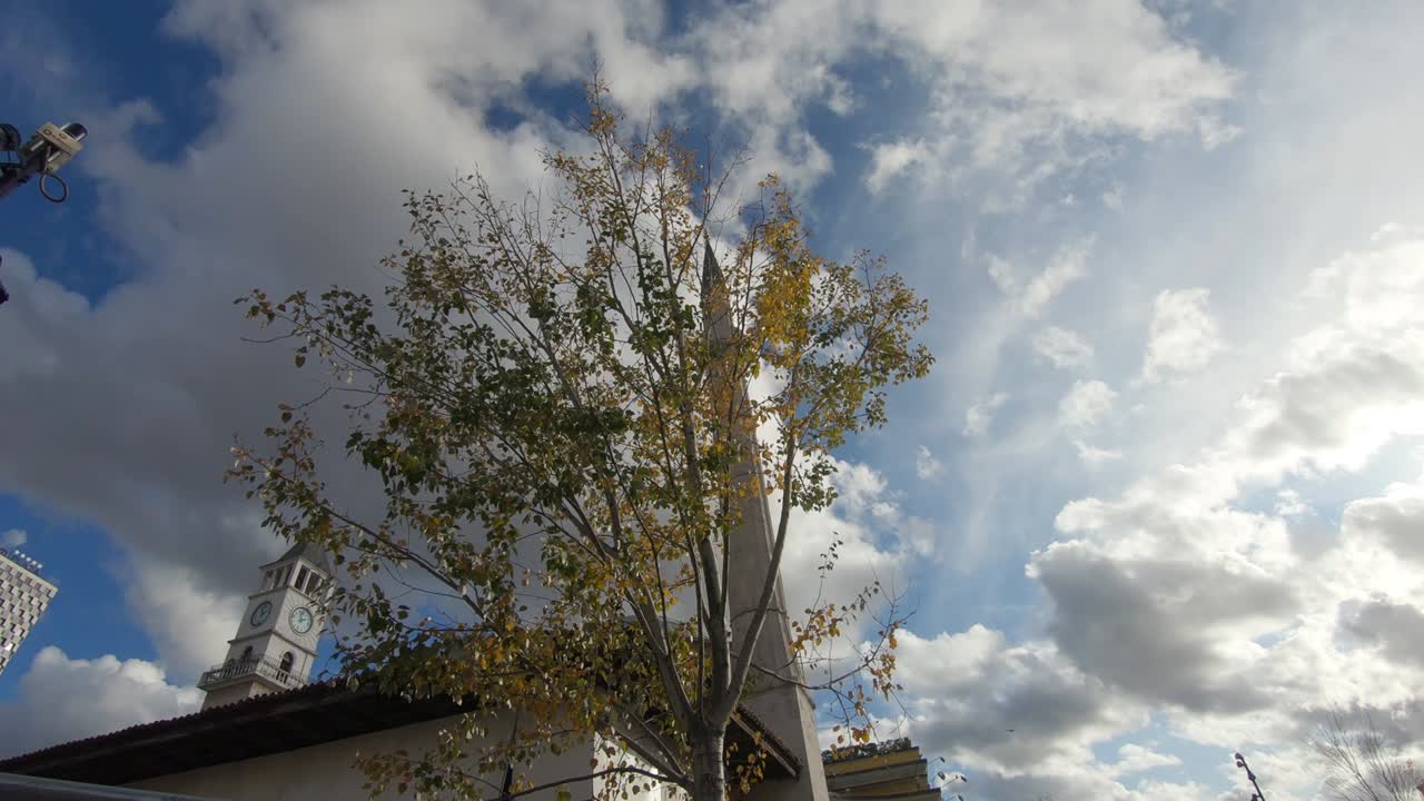 árbol de abedul cerca de la mezquita et'hem bey cerca de la plaza skanderbeg y la torre del reloj en el centro de tirana, albania - toma de ángulo bajo amplio