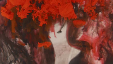 abstract shot of red ink mixing with the black ink underwater - slow mo