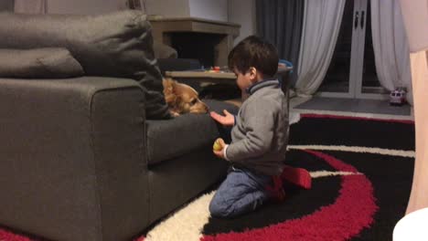 Kinder-Spielen-Mit-Einem-Mittelgroßen-Kokoni-Rassehund-In-Zeitlupe-Im-Wohnzimmer