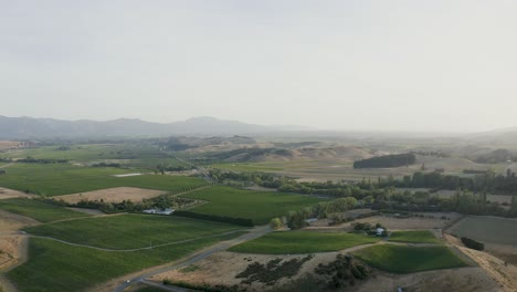 Toma-Aérea-Mirando-Viñedos-En-El-Corazón-De-Marlborough,-Cubiertos-De-Sauvignon-Blanc