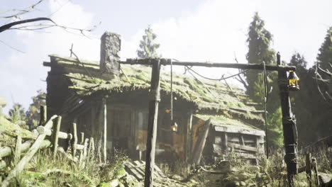 old wooden cabin surrounded by trees and overgrown plants in a rural setting