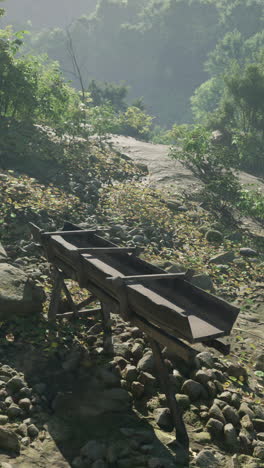 a rustic wooden trough in a forest