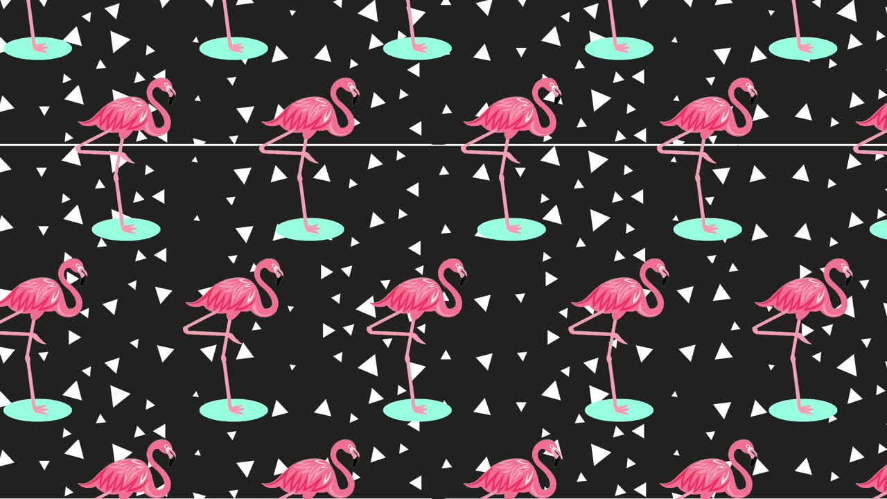 Dynamic Animation of Geometric Shapes and Tropical Illustrations