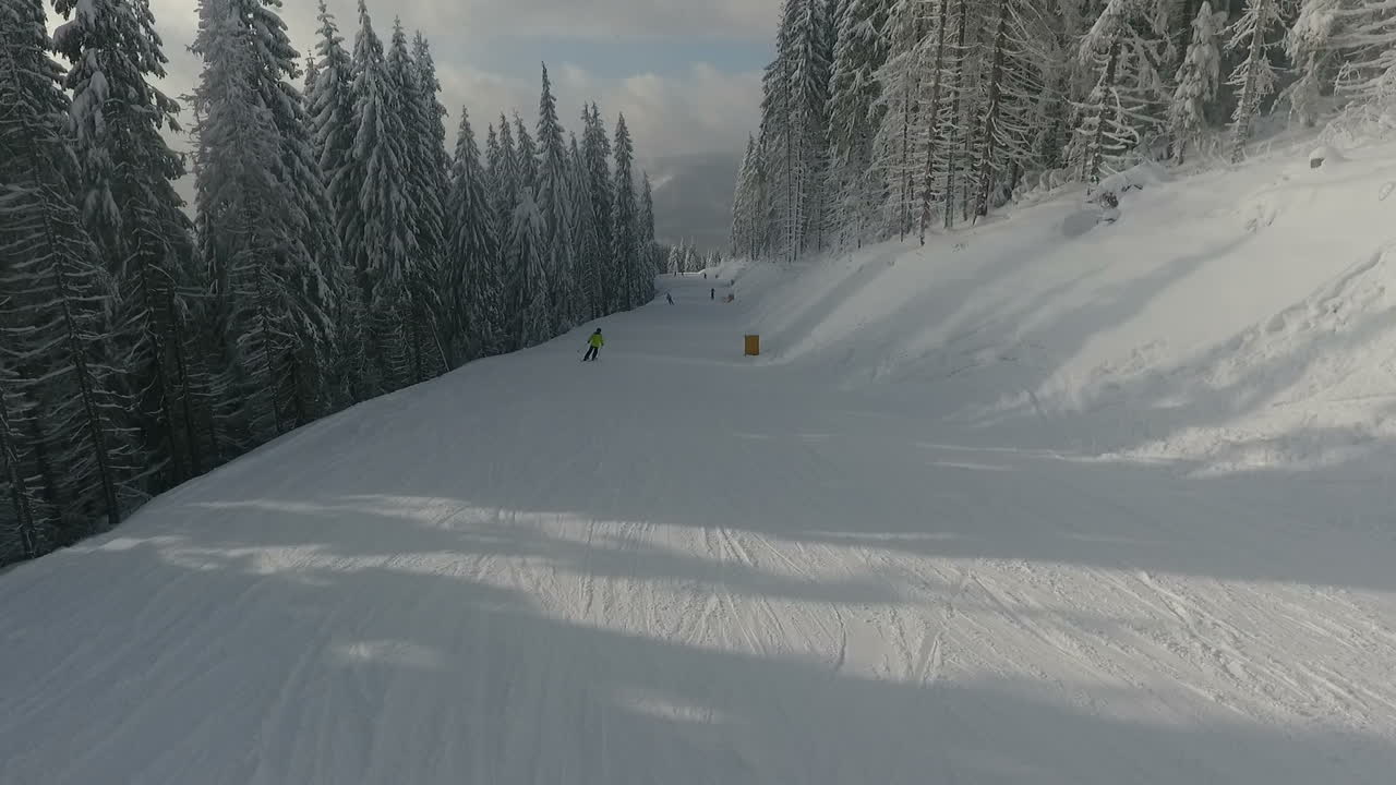 Skiers on the highway among white snowy pines. Winter ski resort. Aerial view