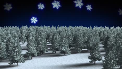 Mehrere-Bäume-In-Der-Winterlandschaft-Vor-Blauen-Schneeflocken,-Die-Vor-Schwarzem-Hintergrund-Schweben