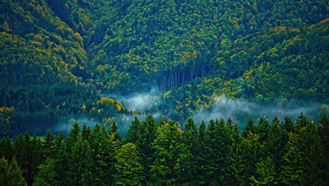 Time-lapse-of-clouds-passing-through-Latvia's-tree-filled-mountains