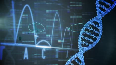 animation of data processing and dna strand over black background