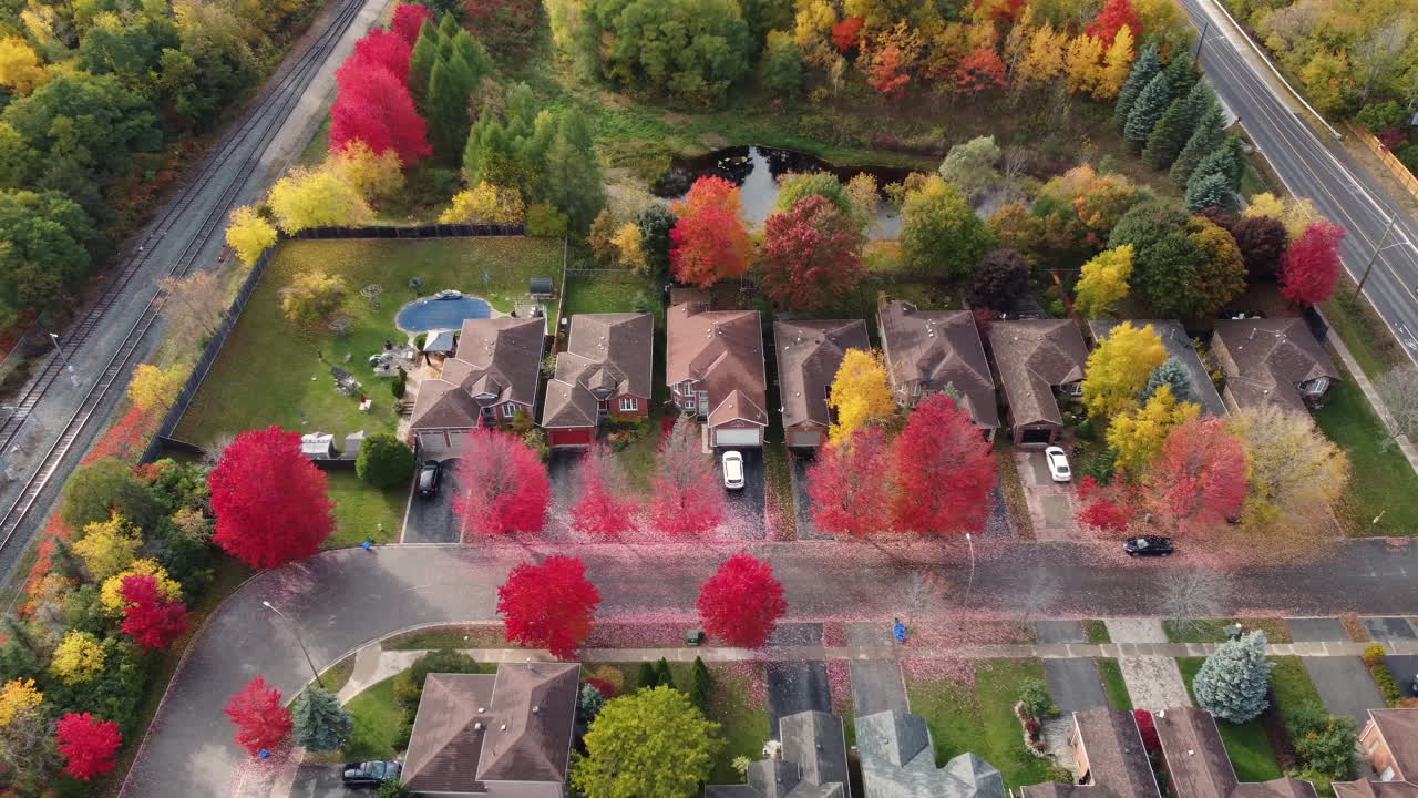 활기찬 가을빛 숲과 깊고 푸른 연못 옆 조용하고 아름다운 주택 커뮤니티 위에 떠있는