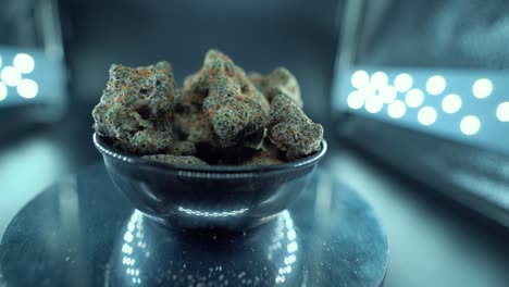 a cinematic macro detailed smooth close up shot of a cannabis plant, hybrid orange strains, indica type, green marijuana flower, slow motion 120 fps, studio led lights, glowing rotating stand