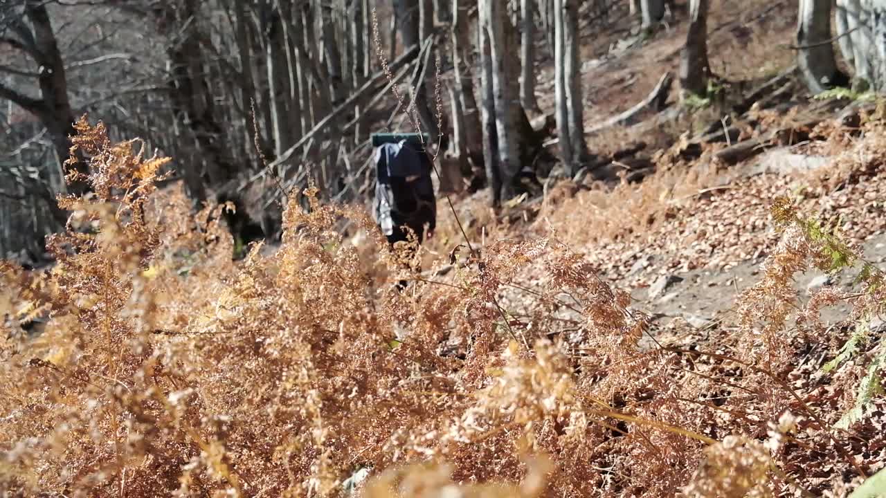 유명한 valbona에서 theth 계곡까지 하이킹