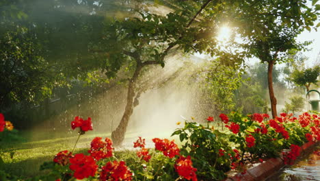 The-Rays-Of-The-Sun-Illuminate-A-Small-Garden-With-Fruit-Trees-And-Flowers-Where-The-Irrigation-Syst