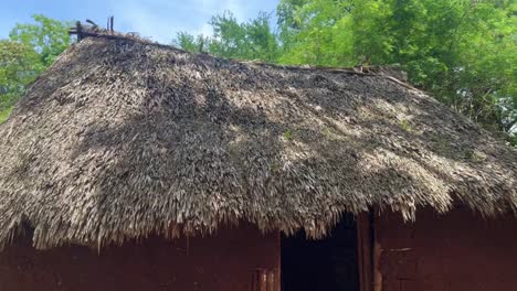 thatched mud hut in rural setting