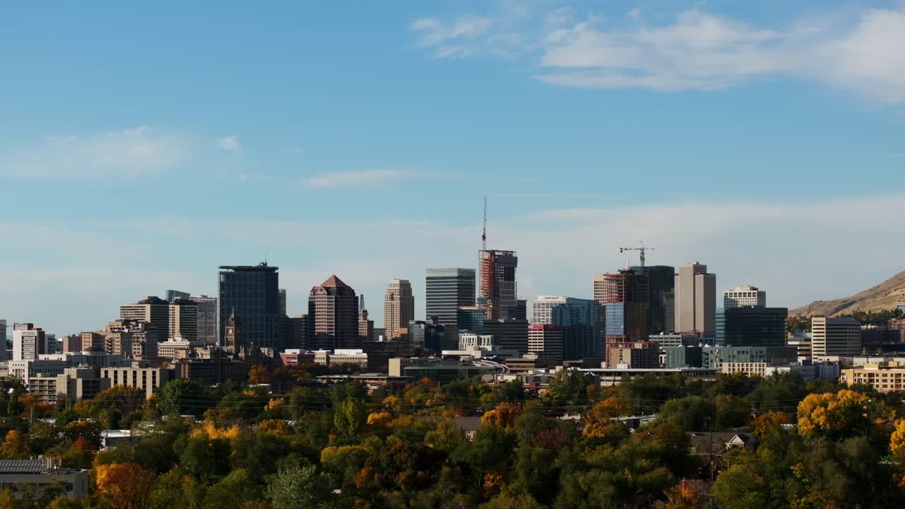 미국 유타주 솔트레이크시티 시내를 배경으로 한 공원의 나무 위로 상승하는 공중 드론