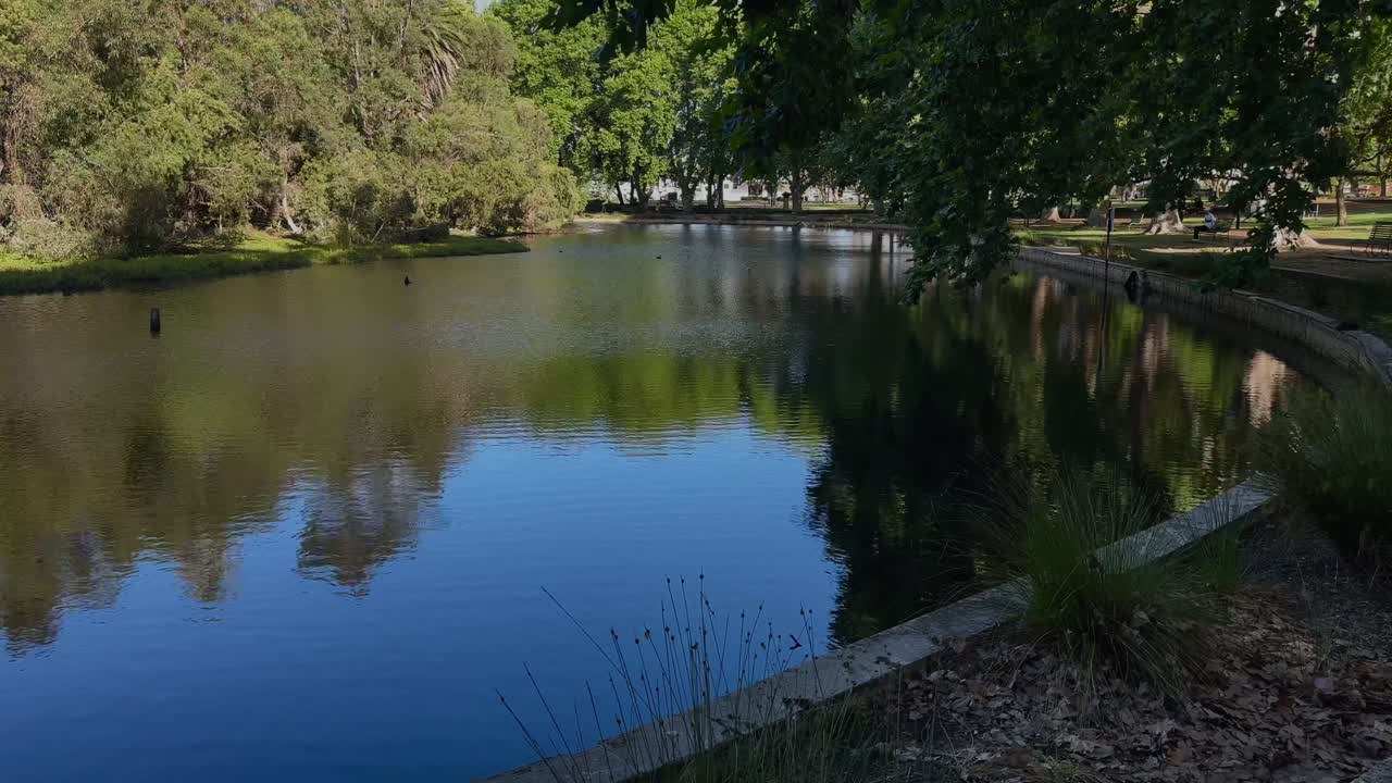 4k Hyde Park Perth blue lake along bank overhanging green tree inner-city oasis