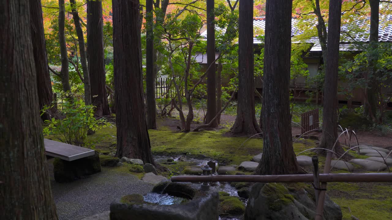 jardín de paisaje japonés con pequeña fuente durante los colores del otoño
