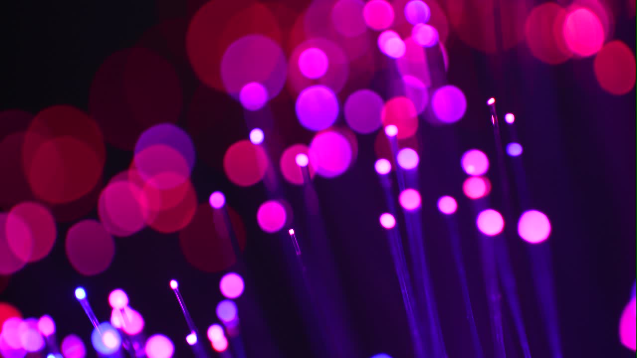 ripresa macro in fibra ottica 14