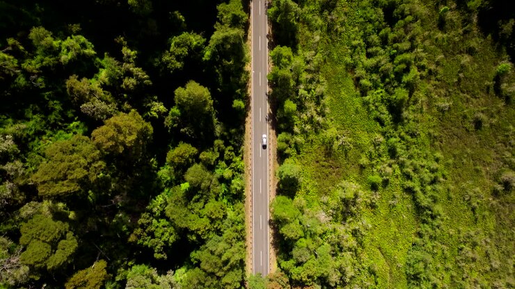 Vehicle driving along road through lush green forest, Petrohué, Chile. Aerial top-down forward