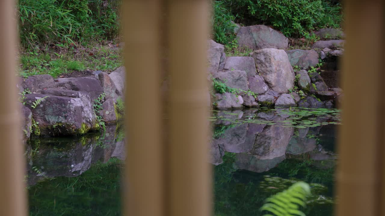 Japanese Garden Pond, Scene Behind Bamboo Fence