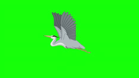 heron flies chroma key