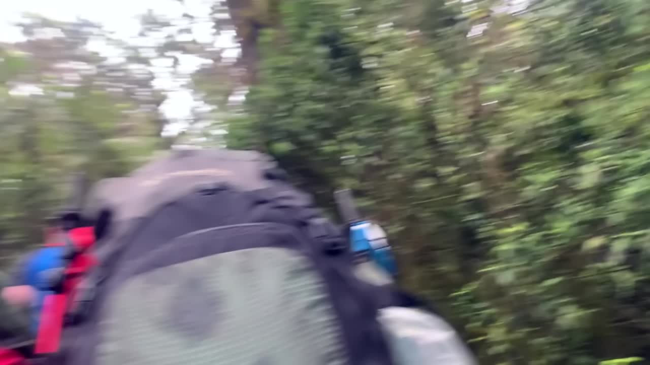 열대 우림 의 길 을 고 있는 배 과 트레킹 막대기 를 들고 있는 산책자 들 과 운반자 들 의 뒷면