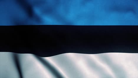 bandera de estonia ondeando en el viento. bandera nacional de estonia. signo de estonia animación de bucle sin costuras. 4k