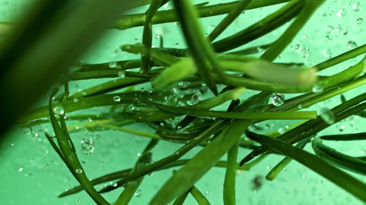 泡とともに水に浸された新鮮なネギ