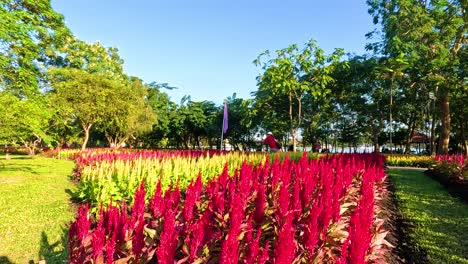 vibrant flowers in a serene park setting