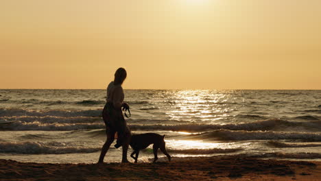 woman and dog walking on beach at sunset