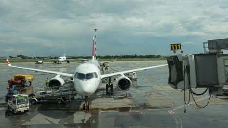 Ground-Crews-Unloading-Cargo-And-Baggage-From-An-Airbus-Through-A-Conveyor-In-A-Busy-Airport-Terminal-In-Bucharest,-Romania