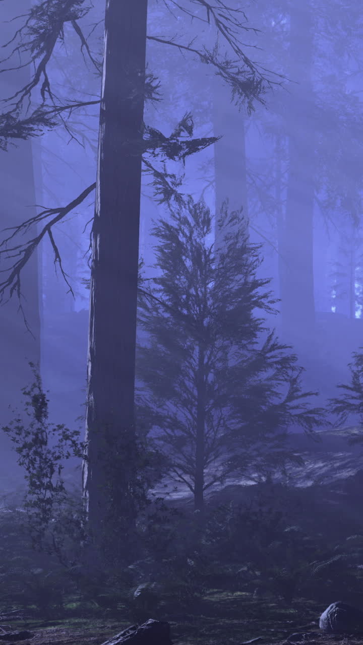 Scena di foresta nebbiosa con alberi e piante al crepuscolo in un'area appartata.