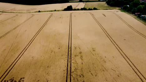 drone shot of tractor tracks on a wheat field
