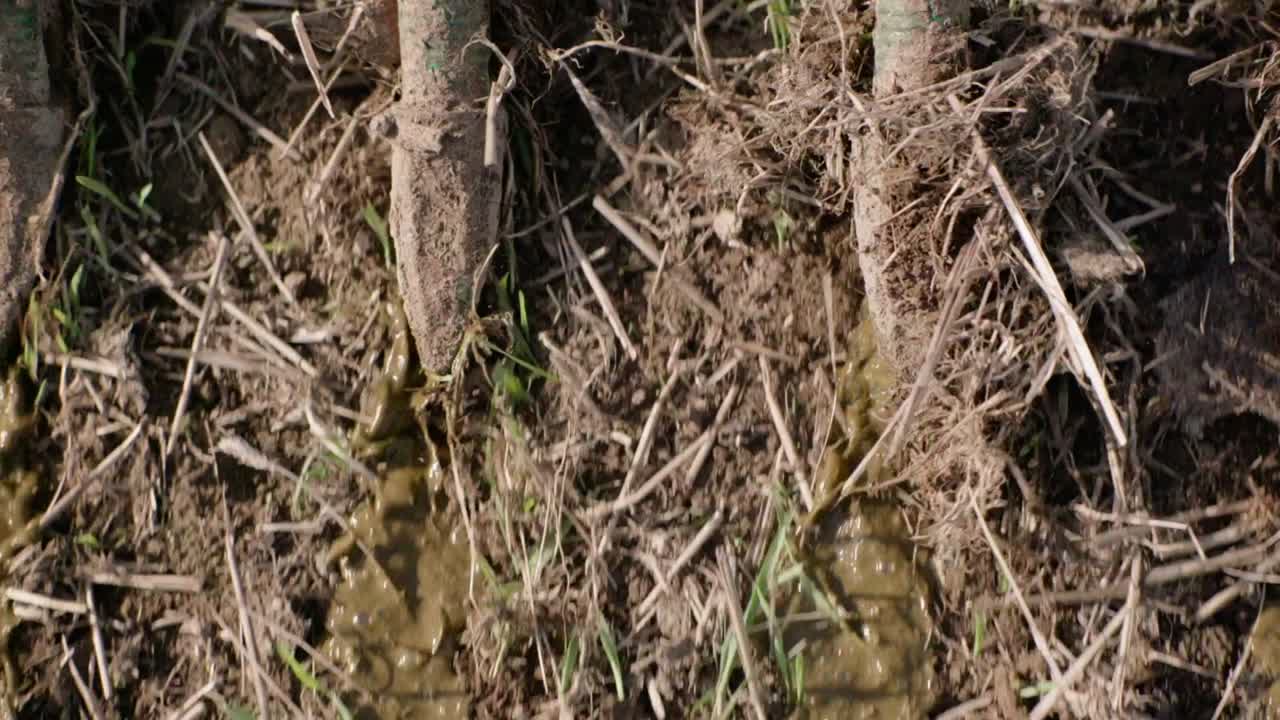 액체 비 스프레이더는 에서 슬러리를 방출합니다. 가까이에서 느린 동작.