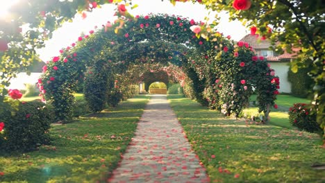 a walkway lined with roses in the middle of a lush green field