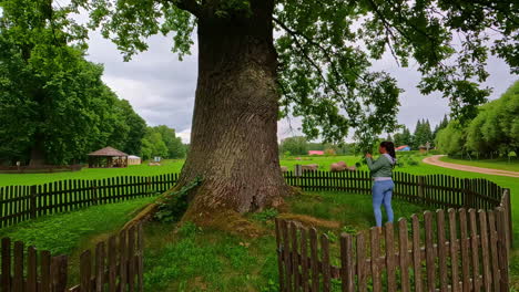 Junge-Frau-Fotografiert-Geschützten-Riesigen-Baum-Im-Nationalpark-Mit-Smartphone