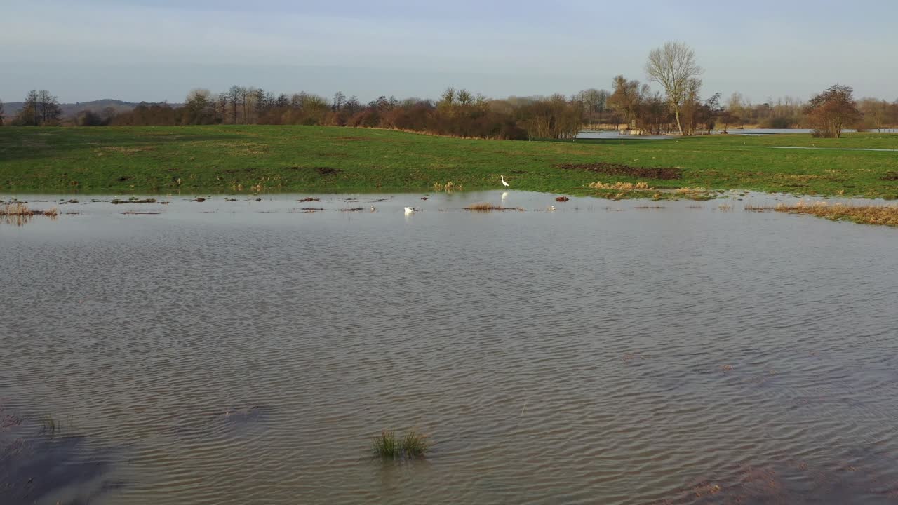 무인기가 많은 비가 내린 후 침수된 초원과 을 날아다습니다.