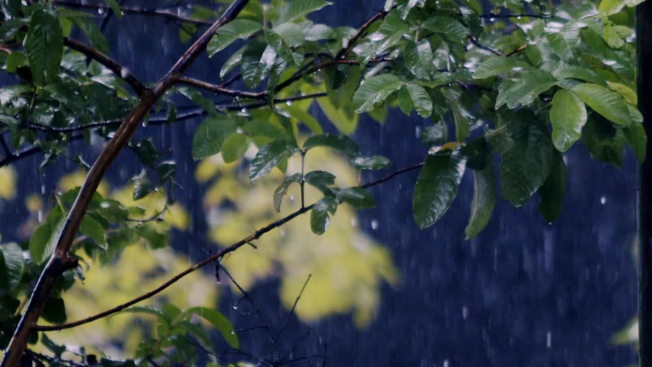 계절적 홍수, 습한 환경, 기상학, 스플래터링 운동