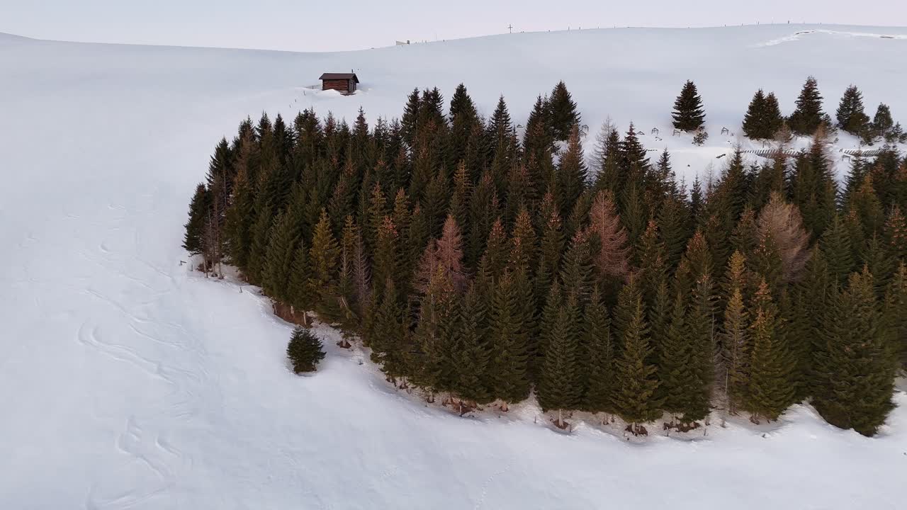 paisaje cubierto de nieve con árboles aislados y una cabaña alpina al anochecer, vista aérea