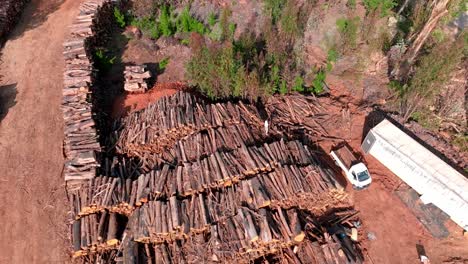 aerial orbit of a person over a mountain of trees cut down in a sawmill