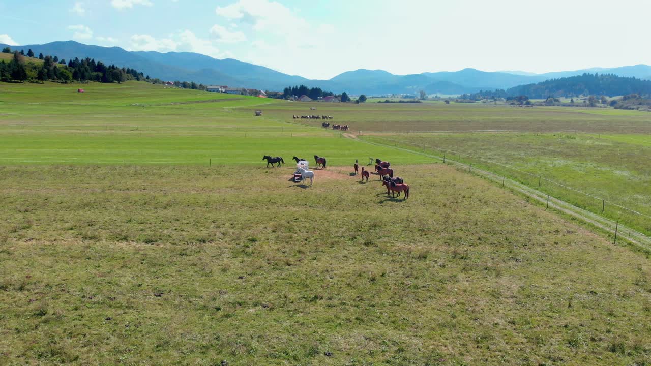 Gruppo di cavalli che prendono il sole sul pascolo di un ranch di montagna sloveno - Vista aerea