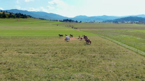 group of horses bask in sun on pasture of slovenian mountain ranch - aerial view