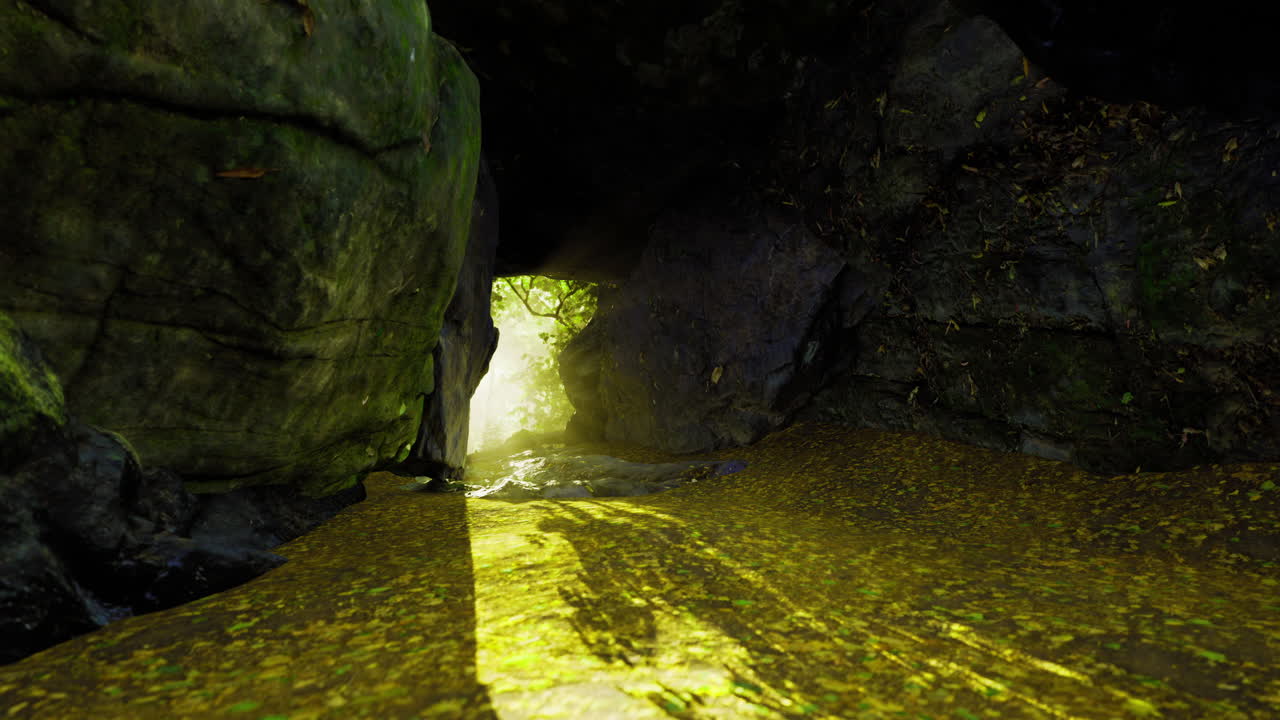 Ingresso di una grotta serena con luce solare che illumina l'acqua che scorre e il verde