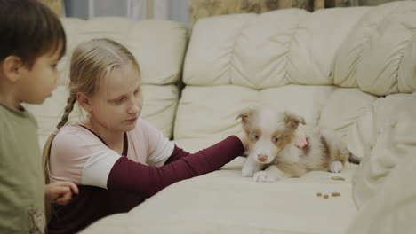 Two-children-play-with-a-cute-puppy,-give-him-treats.