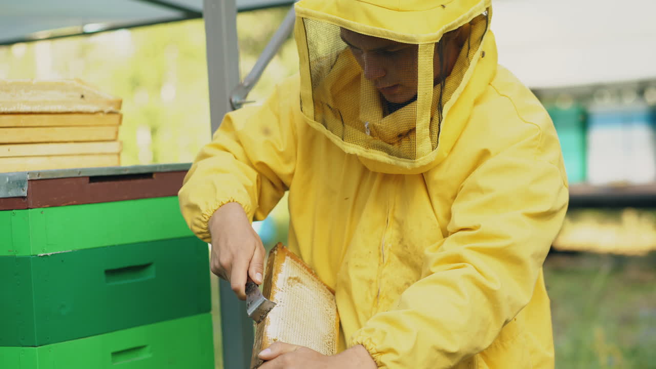 un apicultor recogiendo miel
