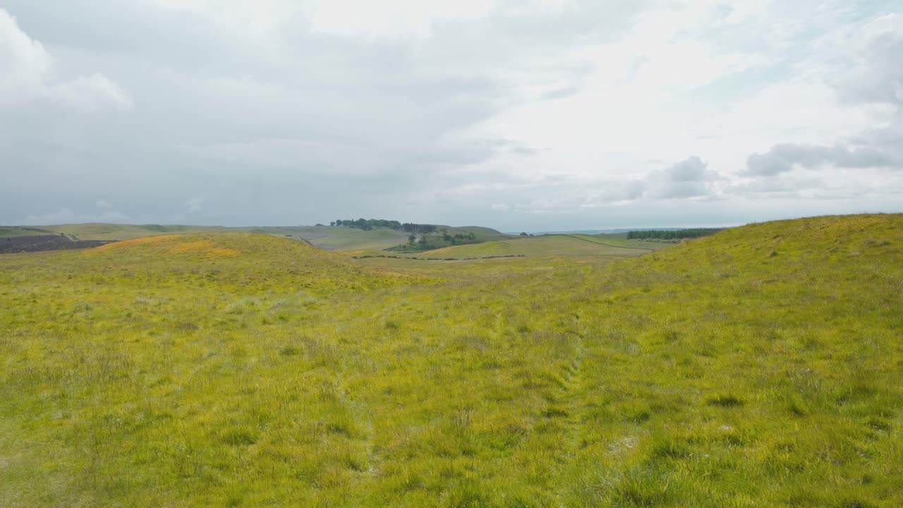 스코틀랜드 로몬드 힐스 지역 공원의 밝은 녹색 초원