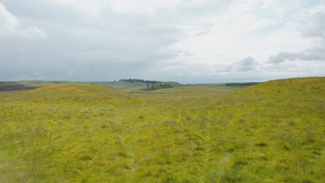prados verdes brillantes en el parque regional de lomond hills en escocia