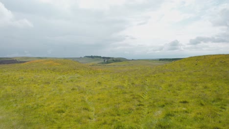 bright green meadows in lomond hills regional park in scotland