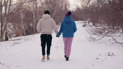 couple walking in snowy park