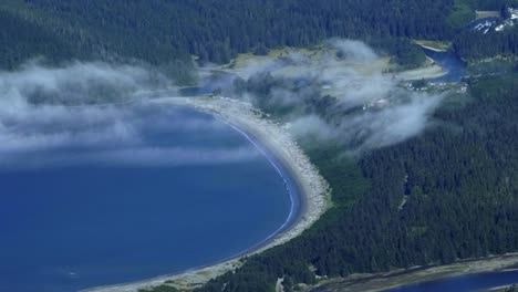 aerial view of summer beach and coastal forest on a sunny day
