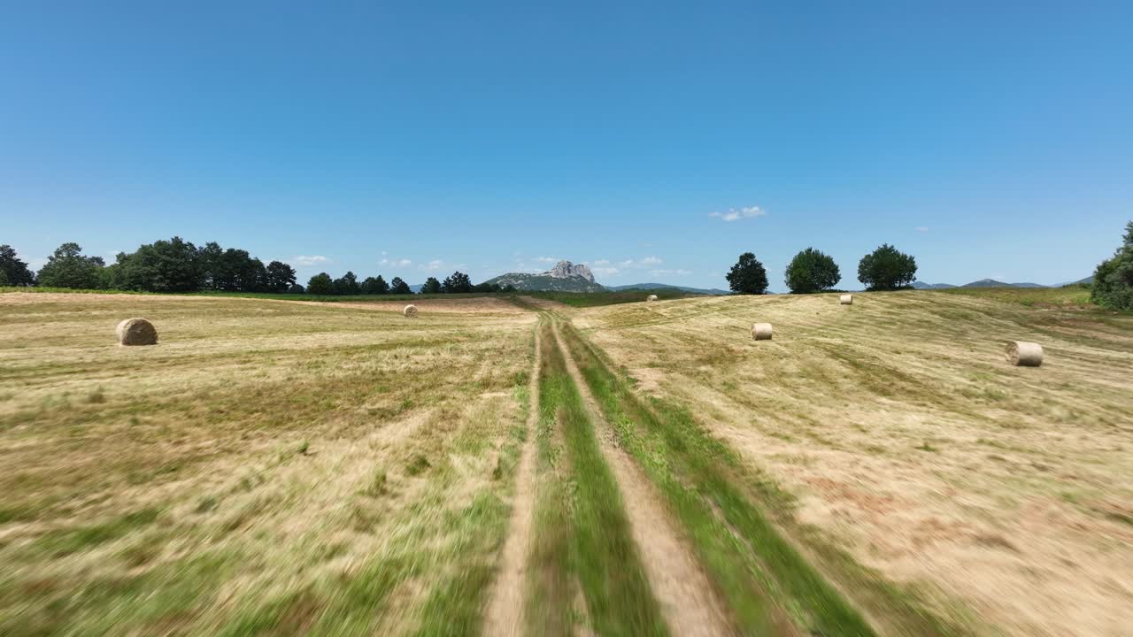 Walking through a field while carrying a drone with multispectral sensors for crop monitoring