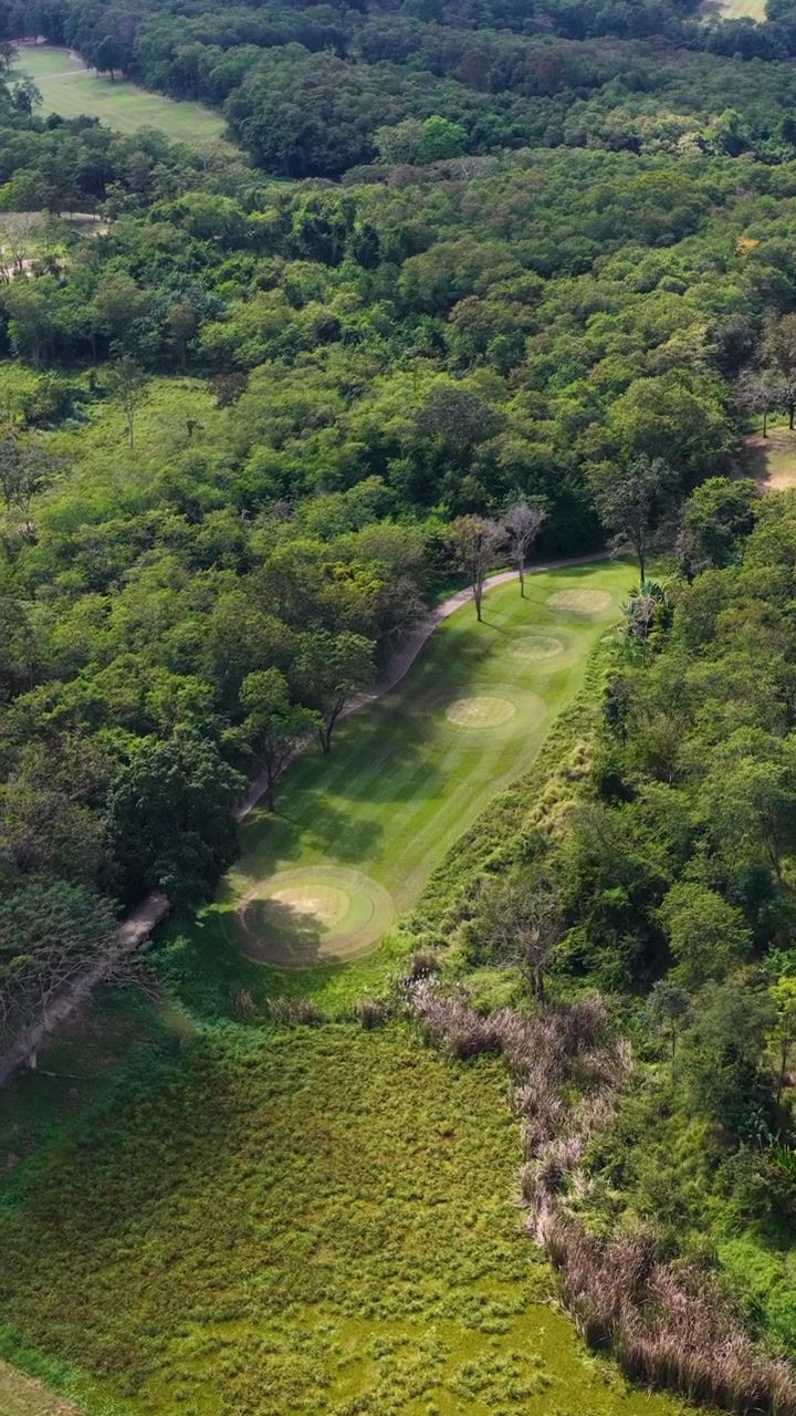 Toma aérea con dron que revela una exuberante calle de golf verde rodeada de densa vegetación de selva tropical